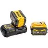 Dewalt 18V 2 X DCB546 6.0Ah Batteries & DCB116 Charger Set