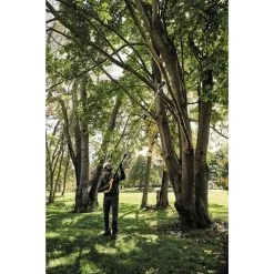 DeWalt DCPS620M1 20V MAX XR Cordless Pole Saw Kit 12 DeWalt DCPS620M1 20V MAX XR Cordless Pole Saw Kit -Dewalt image 5599e4e2 e987 4885 9d06 0601089649c9